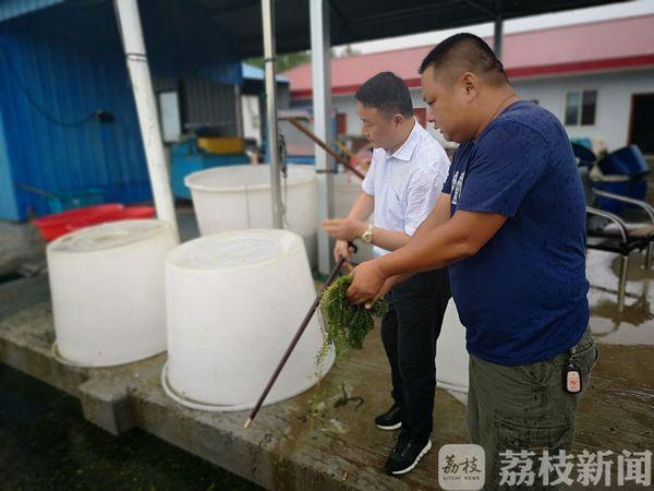 漁村小農(nóng)民的成長之路，從田野到未來的勵(lì)志之旅