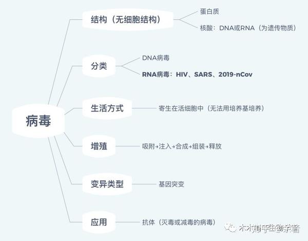 最新病毒總結報告，全面梳理與分析病毒動態(tài)