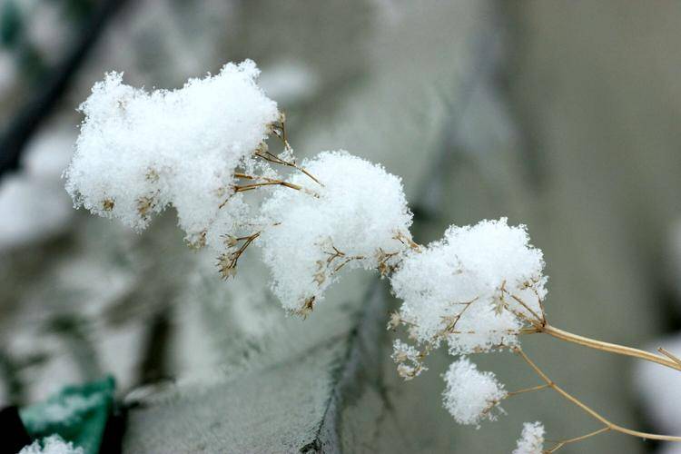 雪落錦最新觀點闡述