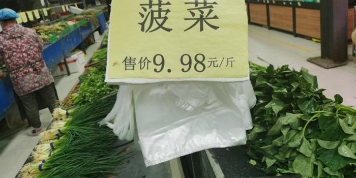 最新菠萊價回顧與洞察，市場趨勢深度解析