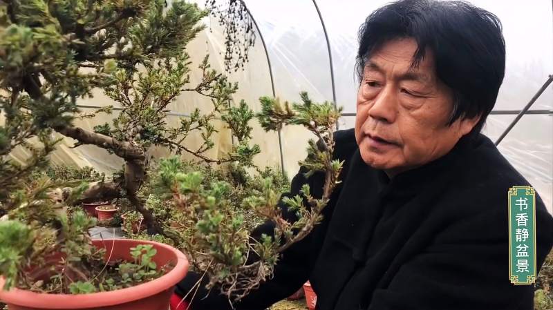 劉增魁最新修剪視頻，探尋小巷中的隱藏寶藏揭秘！