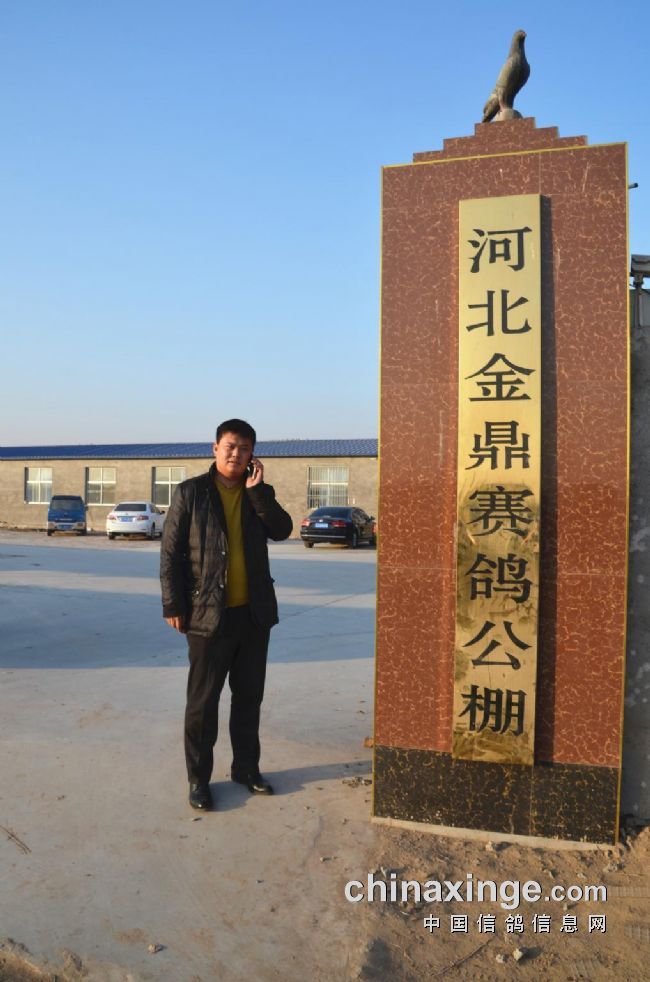 金鼎公棚最新通告發(fā)布，最新動(dòng)態(tài)及信息匯總