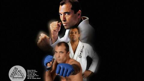 重溫傳奇，探尋武術(shù)之精髓，MMA李小龍比賽視頻回顧