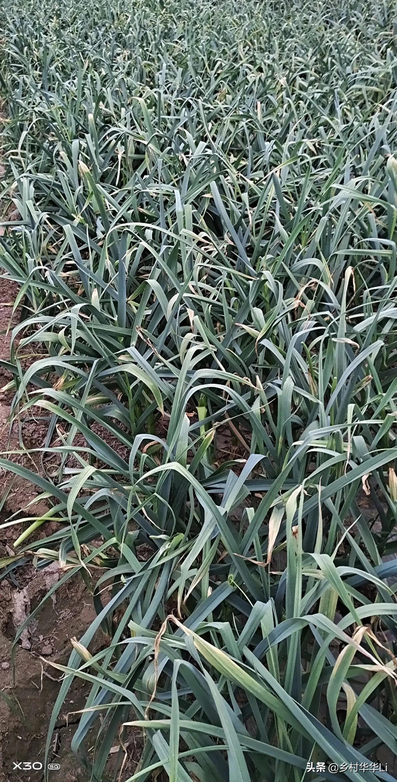 體育用品 第219頁(yè)