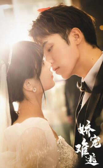 嬌妻難逃，秦雅瀅新篇章開啟