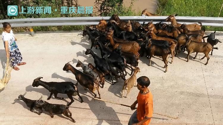 重慶江津賈嗣最新發(fā)展計劃詳解，步驟指南與行動綱領全解析！