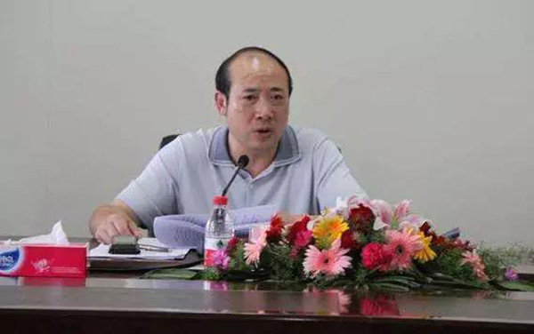 廣西林業(yè)蔣勇動態(tài)揭秘，小巷中的綠色寶藏探索之旅