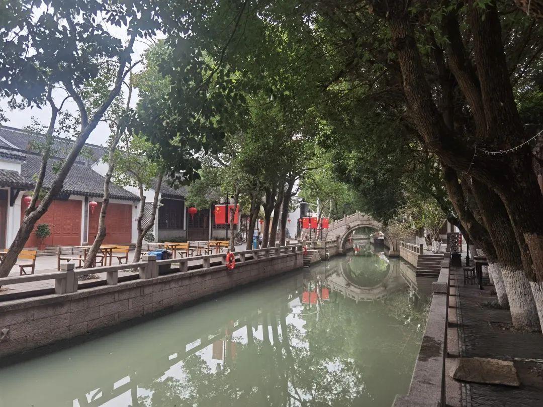 青浦練塘規(guī)劃最新消息,青浦練塘規(guī)劃最新消息，觀點(diǎn)論述