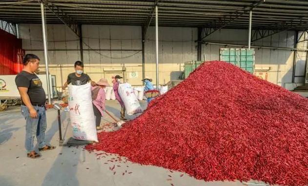 臨穎辣椒市場(chǎng)價(jià)格,臨穎辣椒市場(chǎng)價(jià)格，小巷中的味蕾奇遇