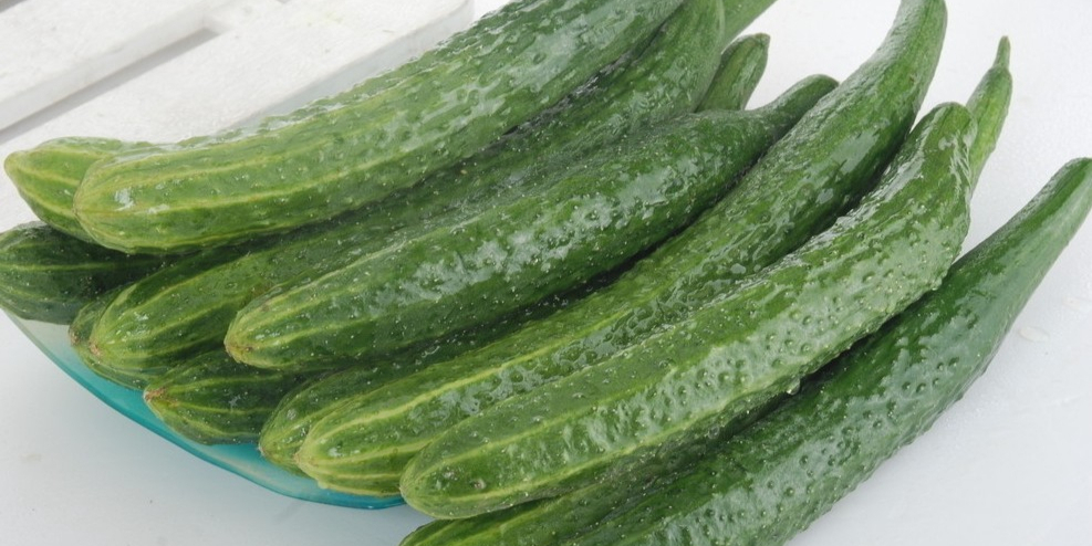 黃瓜價格背后的自然美景探索之旅