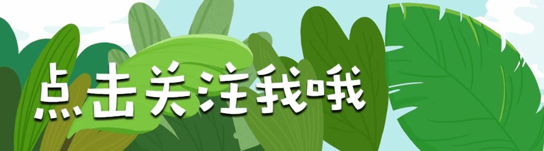 最新疫情動態(tài)下的小巷特色小店探秘，疫情中的驚喜發(fā)現(xiàn)