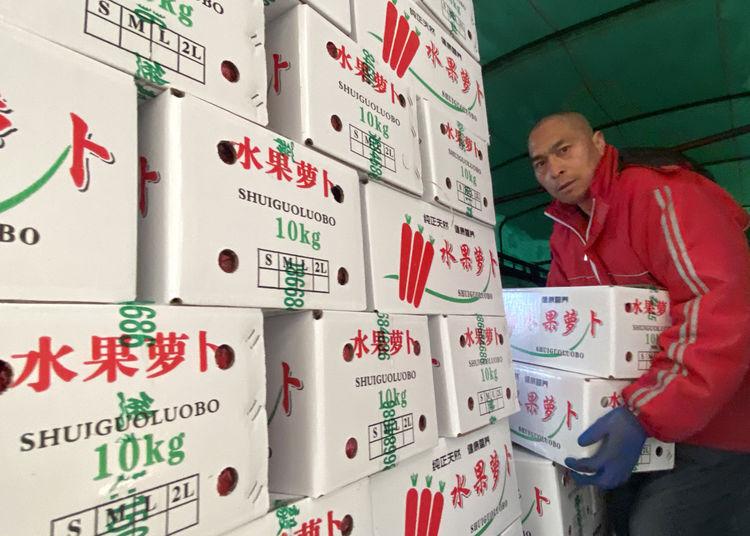 大荔皇家沙苑最新動(dòng)態(tài)，游玩指南與技能提升攻略揭秘