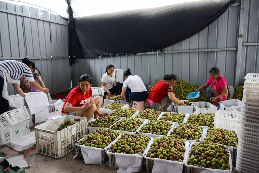 云南擬上市，進(jìn)展、背景及影響分析