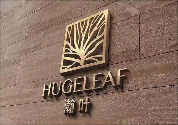 公司被上市公司收購(gòu)后開啟新征程，迎接新機(jī)遇的挑戰(zhàn)