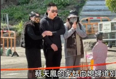 蔡天鳳最新動(dòng)態(tài)更新