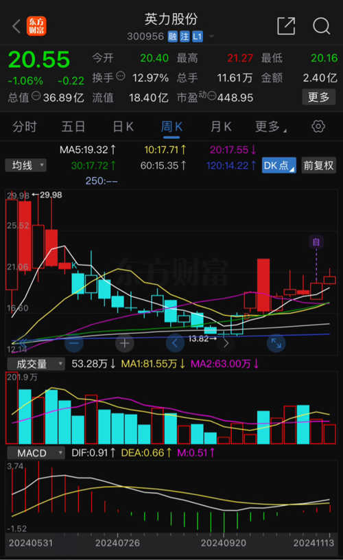 英力股票深度解析，挖掘投資價值