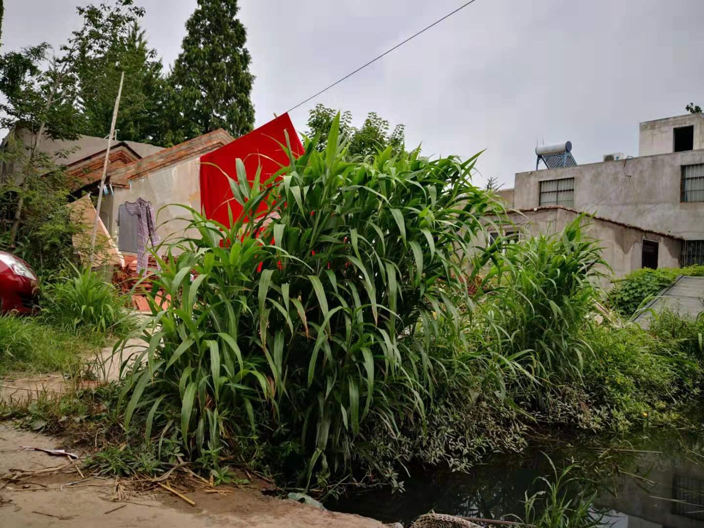 邳州宅基地出售信息詳解，歷史背景與當(dāng)前地位