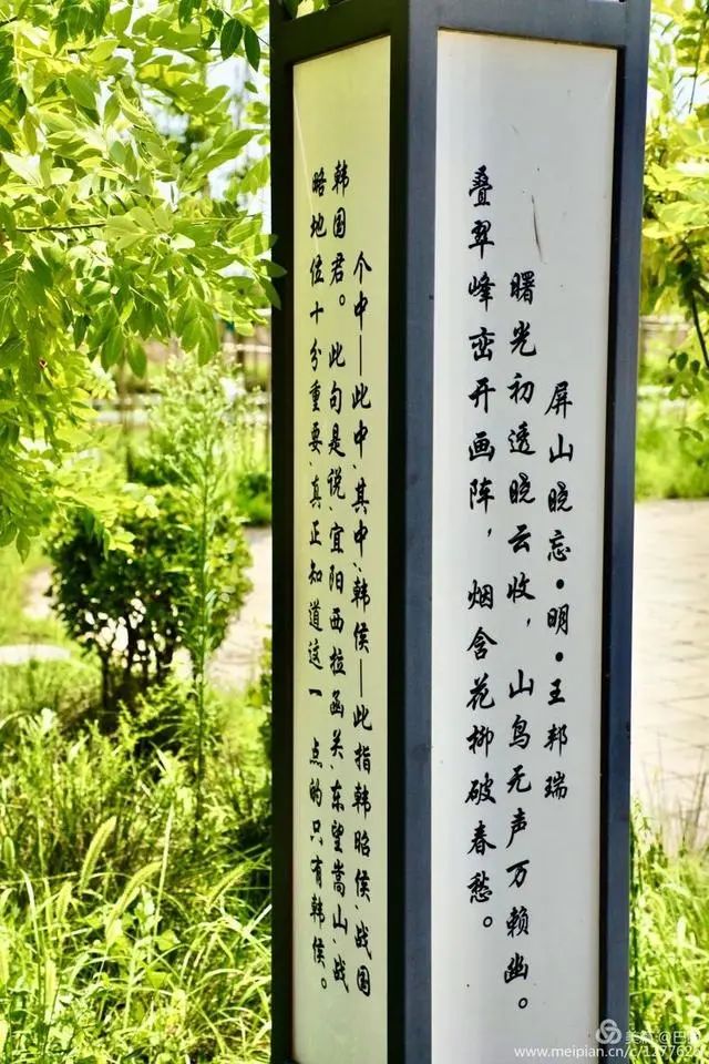 洛陽蓮莊最新動態(tài)更新，最新消息與進展