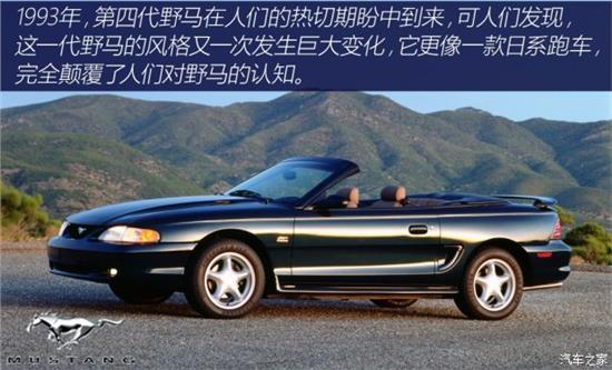 野馬演員表深度解析，角色與演員匹配度探究