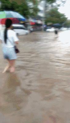 最新航班動態(tài)，小巷深處的航空夢與美食探索之旅