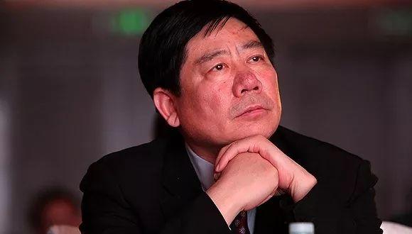 龐慶華最新動(dòng)態(tài)，與自然和諧共舞，探尋內(nèi)心桃花源之旅