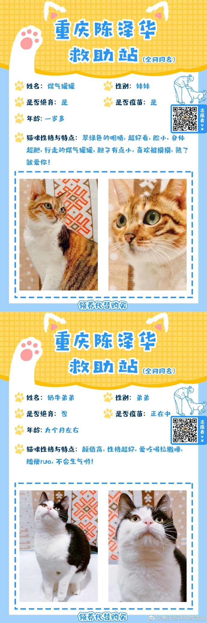 重慶領(lǐng)養(yǎng)現(xiàn)象深度解讀與資訊匯總