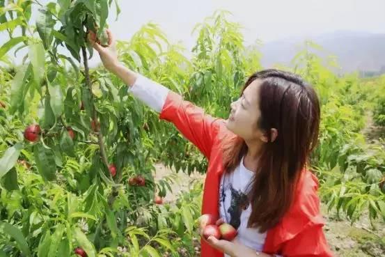 仁壽龍馬規(guī)劃最新動態(tài)揭秘