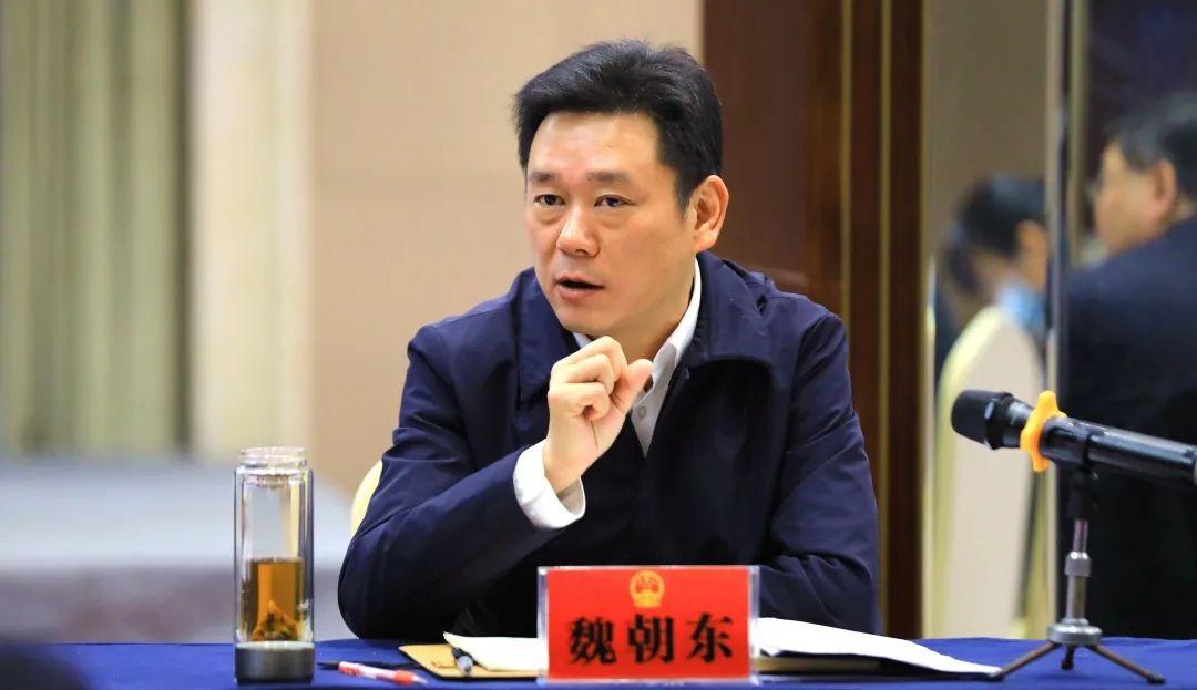 洪湖新聞最新報道，新堤發(fā)展動態(tài)及關(guān)鍵進展揭秘
