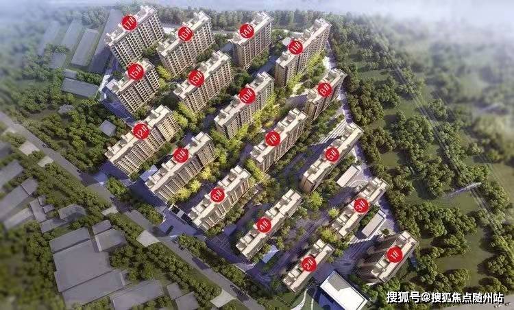 象山官員最新動態(tài)，最新消息全面解析