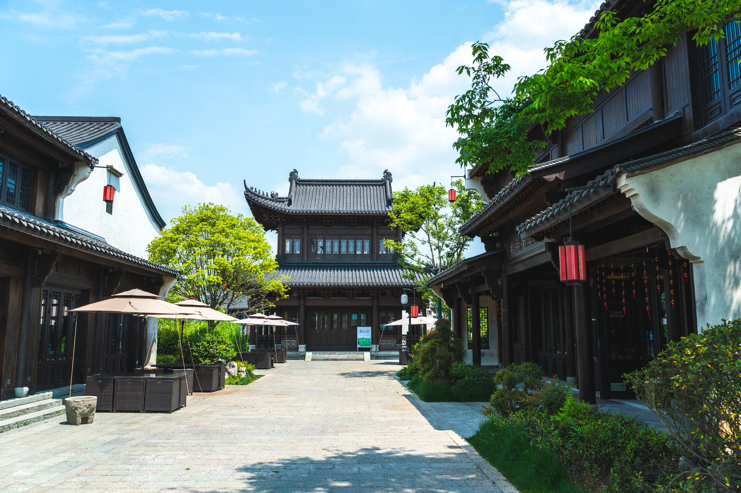 浙江建德梅城最新動(dòng)態(tài)，梅香四溢的溫情日常