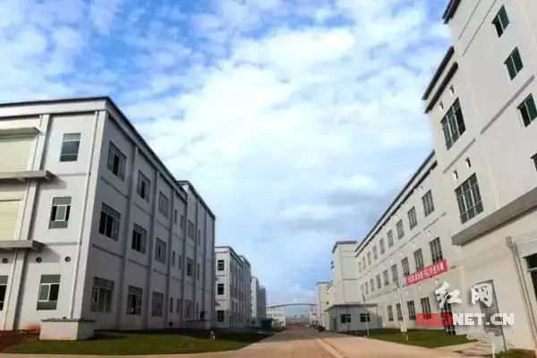 瀏陽(yáng)藍(lán)思科技最新招聘信息發(fā)布